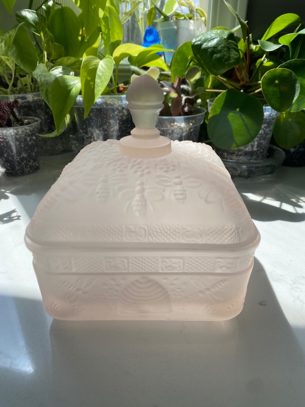 Vintage Indiana Glass Tiara Honey Bee Box Candy Dish - Frosted Pink - Picture 5 of 8